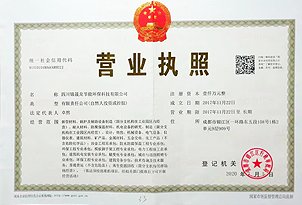 资深九游手机版登录入口的设计团队